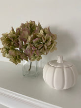 Load image into Gallery viewer, Pumpkin Limited Edition Candle