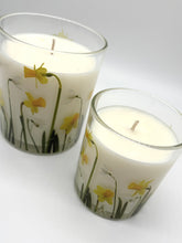 Load image into Gallery viewer, Daffodils Limited Edition

