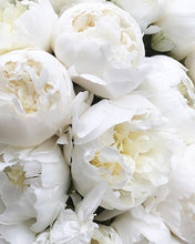 Load image into Gallery viewer, Peony Cut Glass Limited Edition Candle
