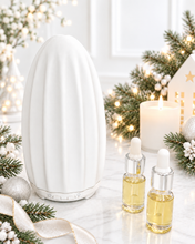 Load image into Gallery viewer, Electric Diffuser Gift Set
