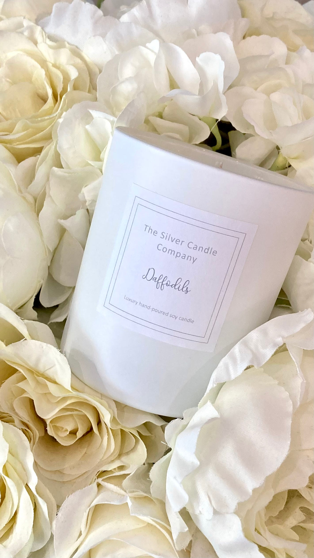 Daffodils Spring Limited Edition